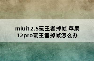 miui12.5玩王者掉帧 苹果12pro玩王者掉帧怎么办